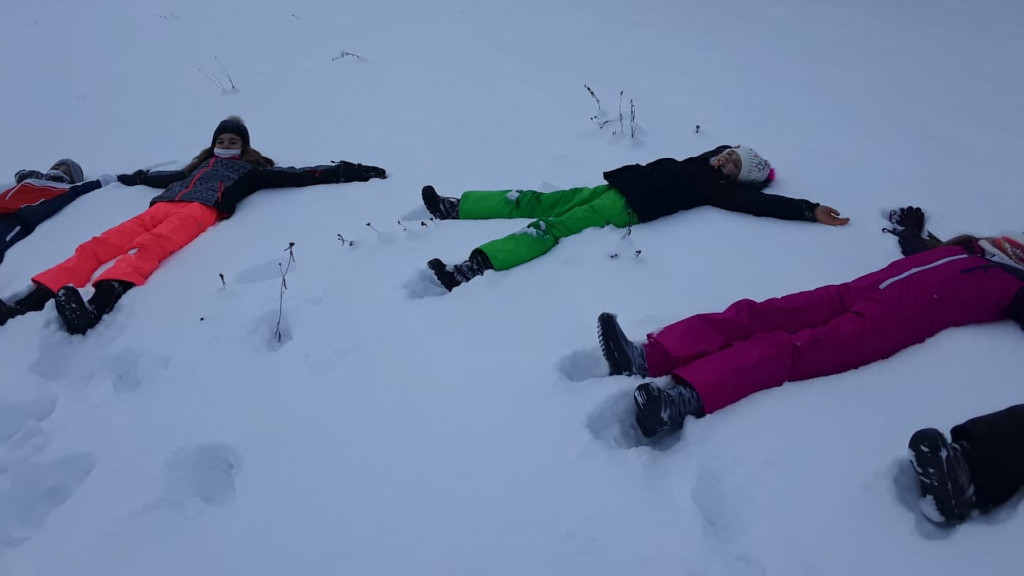 Ski neige 