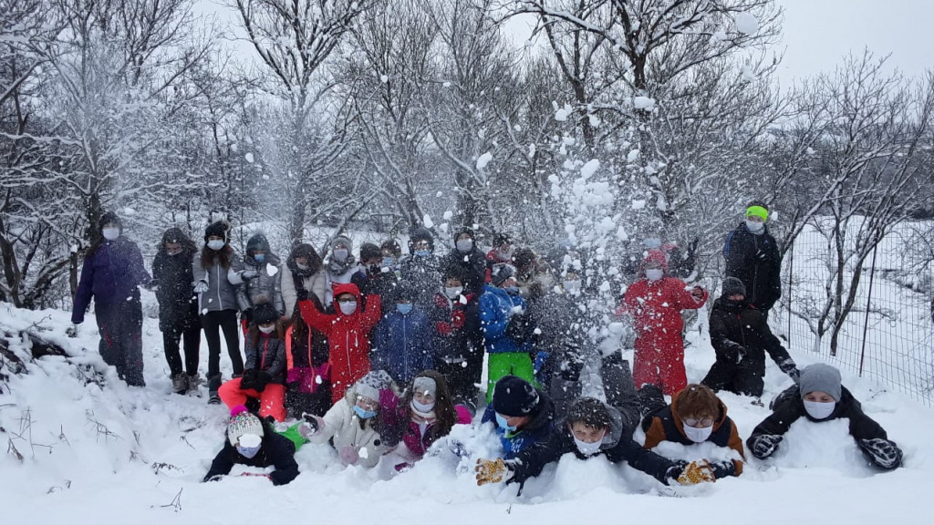 Ski neige 