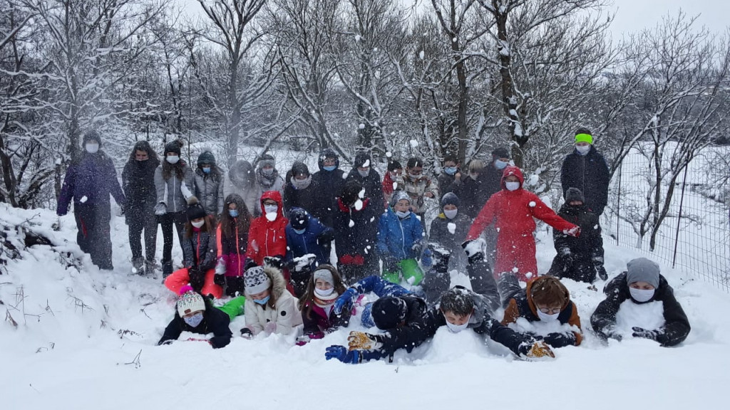 Ski neige 