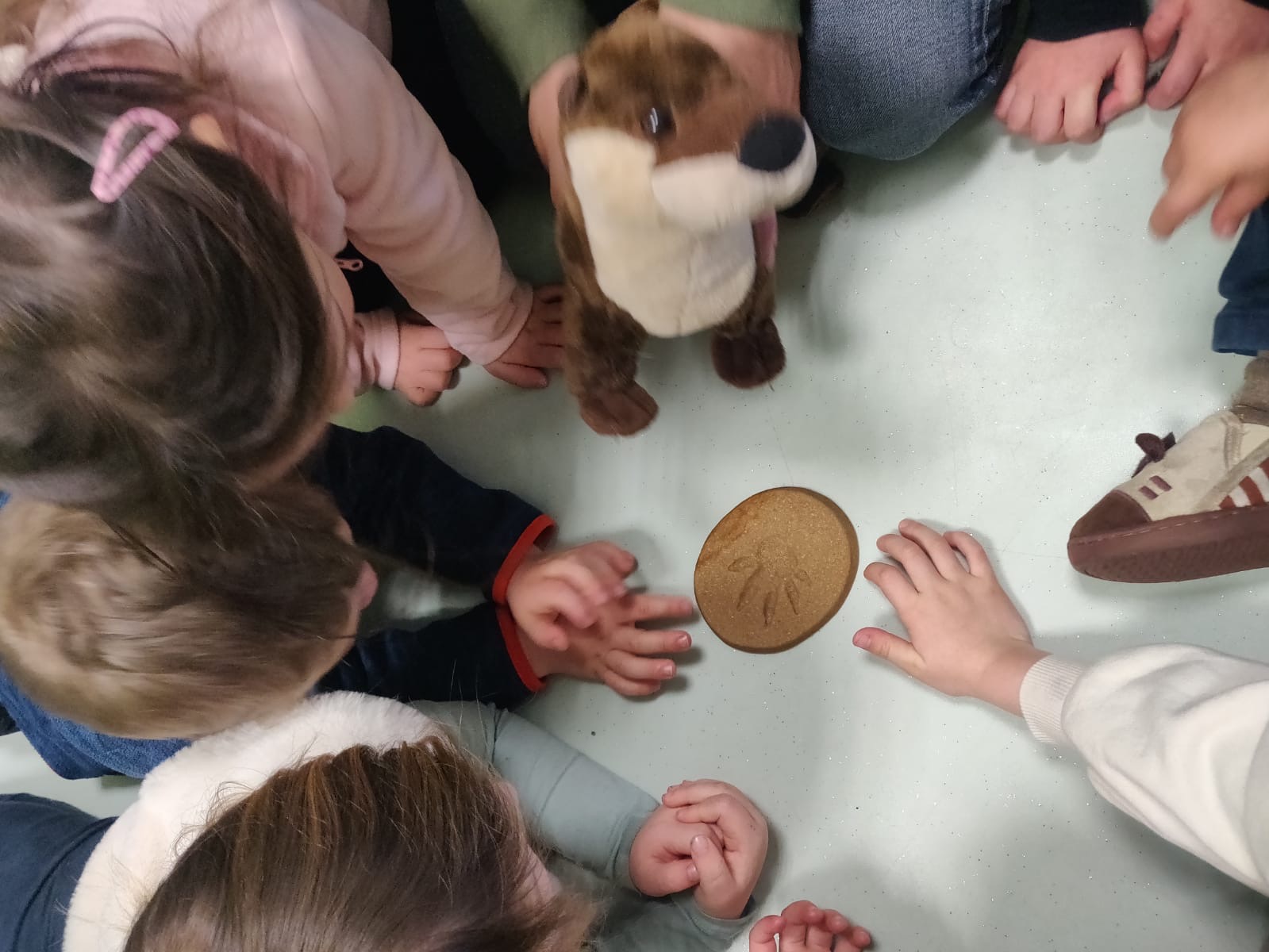 Projet rivières et zones humides maternelles