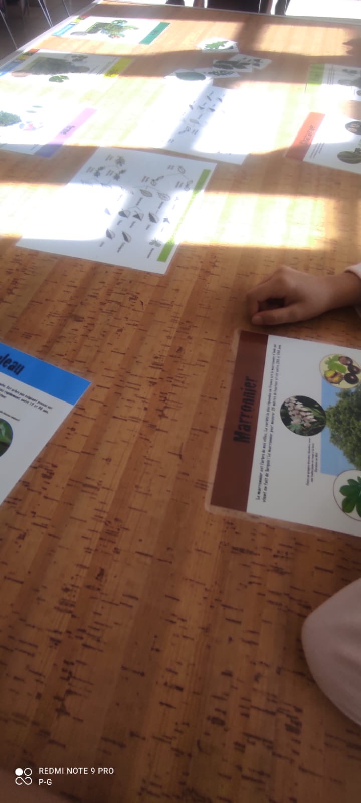 École du vent septembre 26
